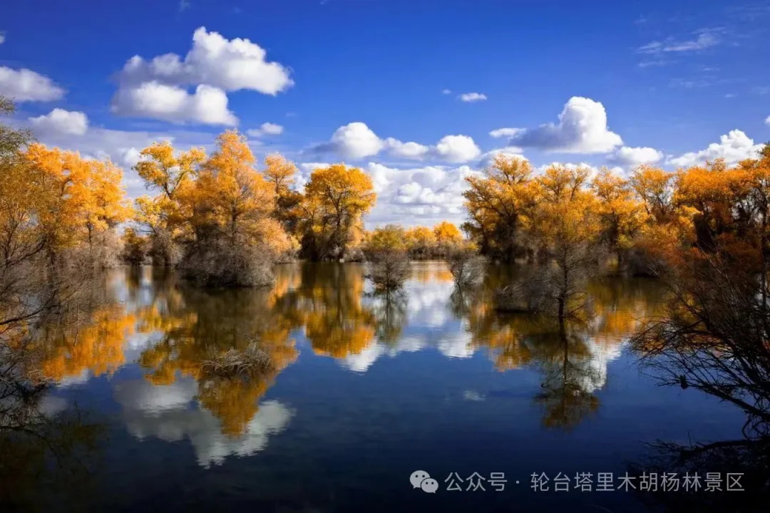 643_看图王.jpg