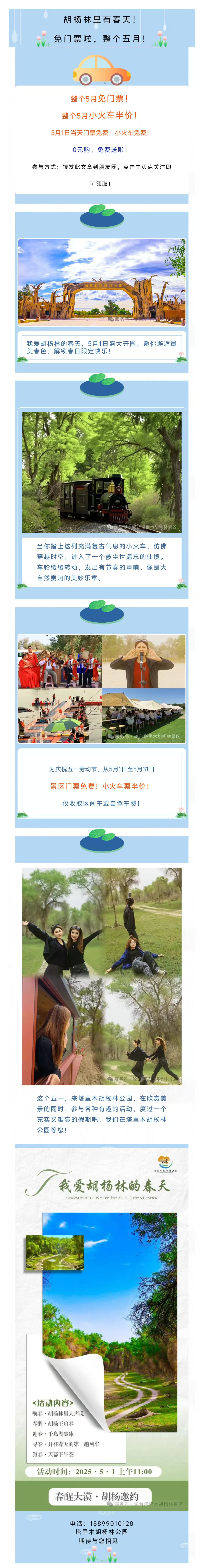 我爱胡杨林的春天